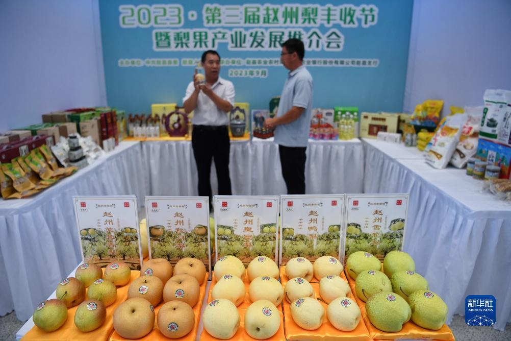 以小博大平台